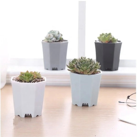 5.2*5.5cm Mini Succulent Pot Plastic Octangle Planter Pot Factory Directly Pots
