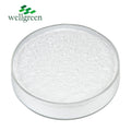 Bulk Sale 200 Mesh Creatine Monohydrate Powder Cas 6020-87-7 Creatine Monohydrate Materials Powder