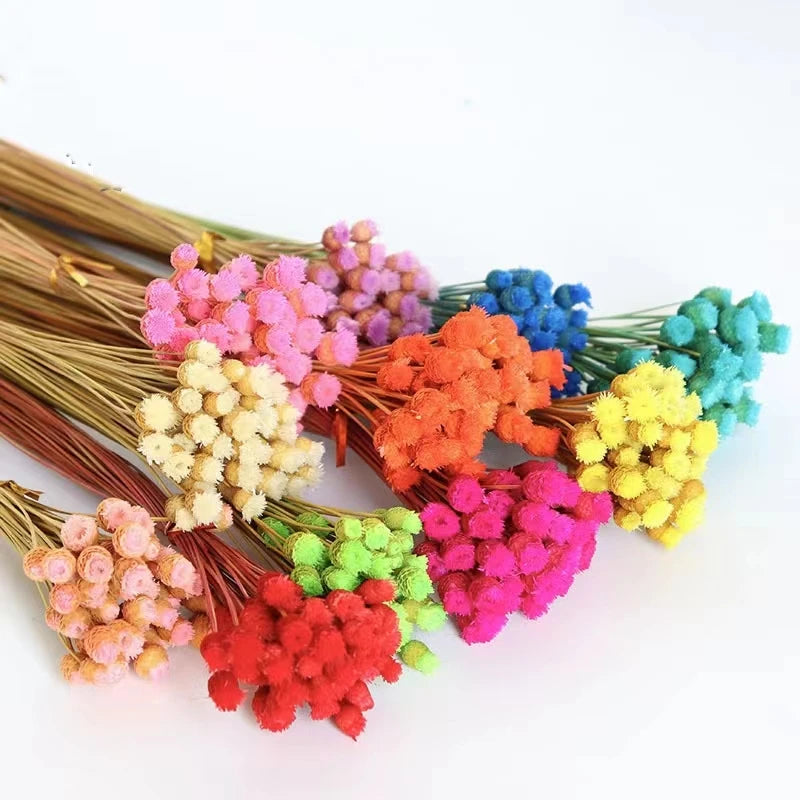 Ghc Top Sellers Natural Artificial Preserved Decorative Flowers Bridal Dried Flower Wedding Bouquet