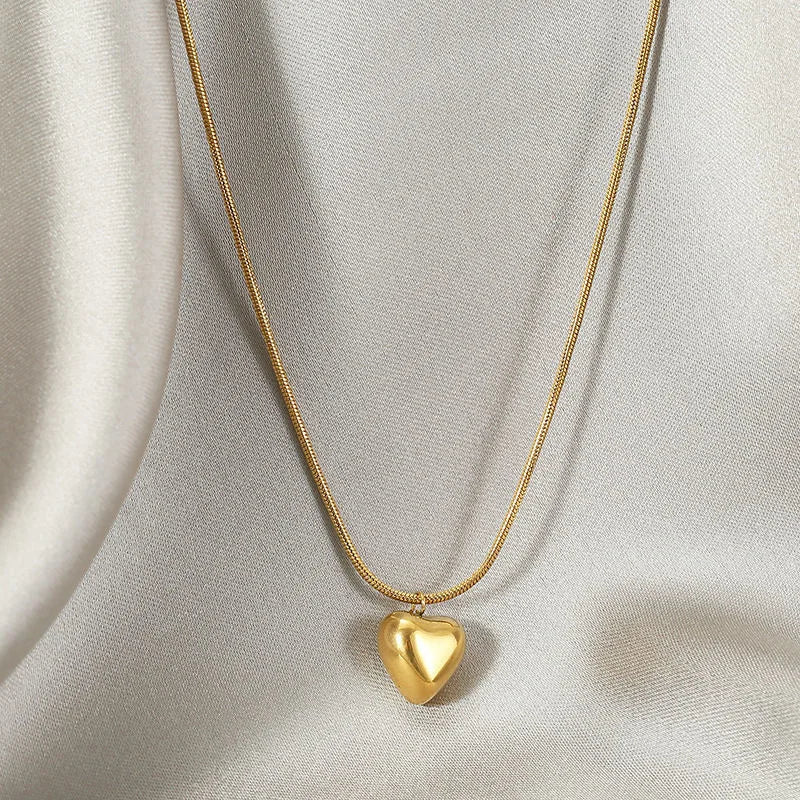Stainless Steel Rope Chain Necklace Scapular Necklace Catholic Compassion Sideways Heart Necklace