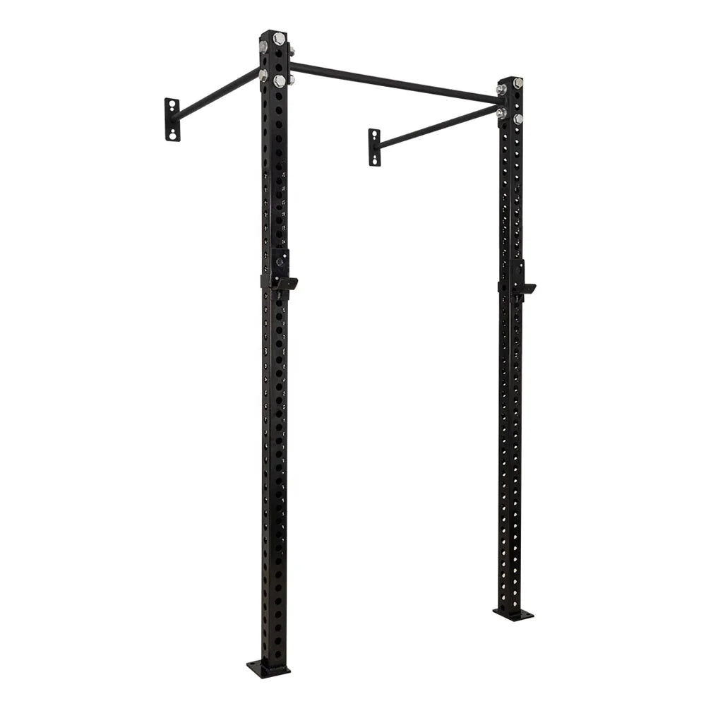 Cross Training 10ft Wall Mount Rig Single Station Multi Functional Cross Fit Rigs Racks Commercial Use Steel Tube Q235 Sunshine
