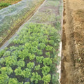 40~100Mesh Width 1m~30m Agriculture Greenhouse Protection Plastic Insect Mesh Nets Garden Vegetable Anti Insect Nets