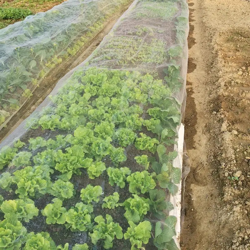 40~100Mesh Width 1m~30m Agriculture Greenhouse Protection Plastic Insect Mesh Nets Garden Vegetable Anti Insect Nets