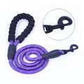 Personalized Print Hot Sale Reflective Heavy Duty Nylon Rope Soft Rubber Handle Pet Training Leash for Medium Large Dog
