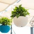 Wholesale Decorative Home Balcony Garden Planter Pot Plant Flower Plastic Hanging Baskets for Plants Outdoor