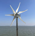 2000W 48V Free Energy Power Horizontal Turbine Wind Generator for Home or Street Lighting