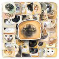 50PCS Funny pet meme lovely kitten face bread cat sticker