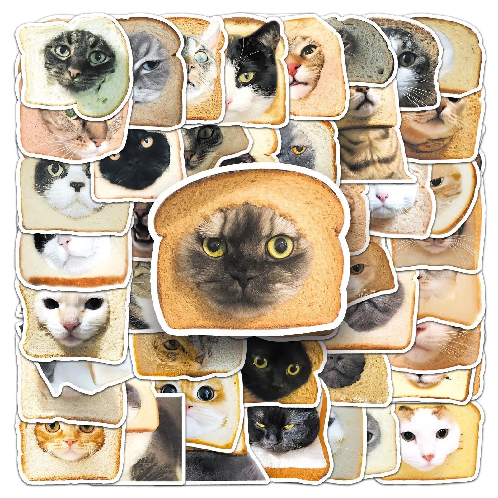 50PCS Funny pet meme lovely kitten face bread cat sticker