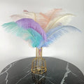 Yolan Home Wedding Decoration with Dyed Ostrich Feathers 14-22inch Natural Drabs Custom Design for Festival Use