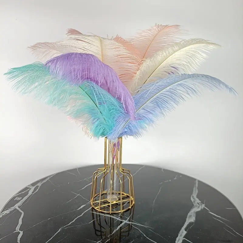 Yolan Home Wedding Decoration with Dyed Ostrich Feathers 14-22inch Natural Drabs Custom Design for Festival Use