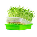 Sprout Seedling Nursery Tray Lid Reusable Durable Eco-Friendly Plastic Hydroponic Vegetable Bean Germination Pot for Household