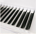 Individual Classic Lashes Premium PBT B C CC D DD Curl Private Label Mink False Eyelash Extensions