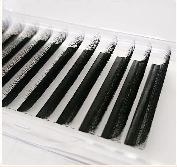 Individual Classic Lashes Premium PBT B C CC D DD Curl Private Label Mink False Eyelash Extensions