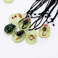 Factiry Wholesale OEM Competitive Price Luminous Necklace Collar De Hombre Resin Natural Insect Amber Jewelry for Men