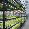 Meijiu Shenzhen Factory Stock Red Spectrum 120w 240watt Vertical Farming Led Grow Light 2x4 for Indoor Veg Growing