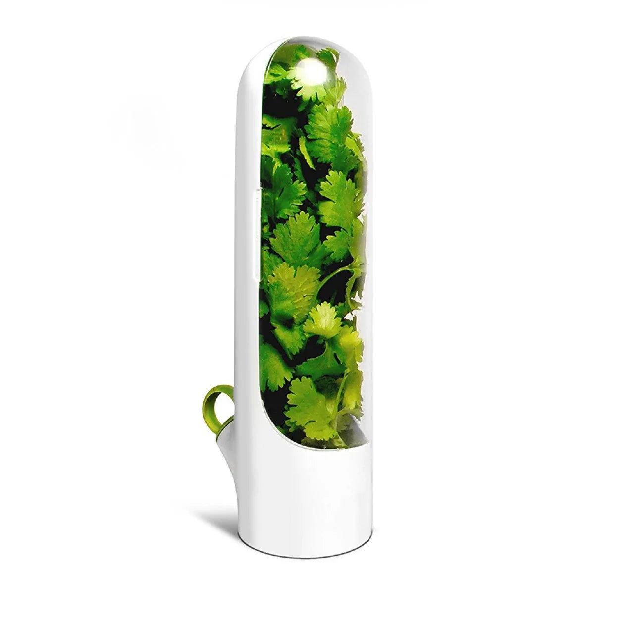 Best Fresh Herb & Vegetable Storage Container Breathable New Keeper for Freshest Produce Box Packed with Stocked Spice Tools