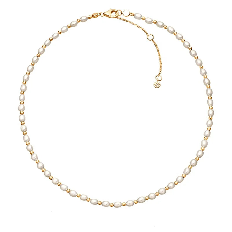 Milskye S925 18k Gold Plated Fresh Water Pearl Beaded Tennis Choker Necklace