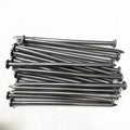 China Direct Factory Polished Common Nails
