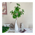 HB Schefflera Tree Water Drop Ceramic Vase White Plain Fired Dry Flower Arrangement Creative Coastal Decoration Ornament MegaBDM