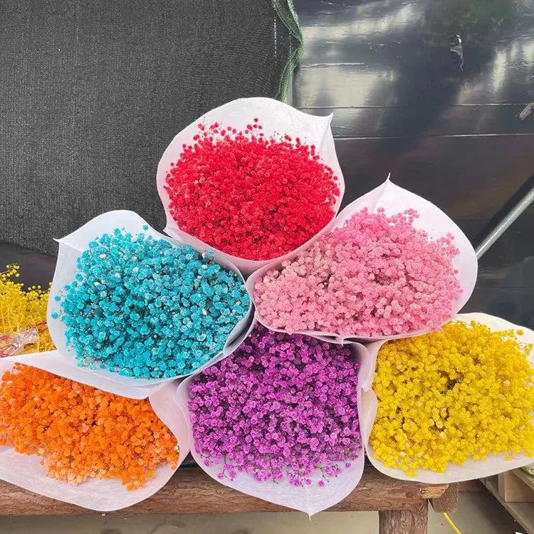 Wholesale Price Babybreath Dried Flowers Bouquets DIY Real Nature Preserved Flowers for Valentine's Day Decoration
