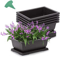 Ebay Hot Sale Dark Brown Color Durable Garden Plastic Bonsai Pot Bonsai Pot Flower Pot Plastic