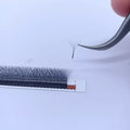 W Shape Volume Lashes Individual False Eyelashes 5D Clover Eyelashes Private Label Eyelash Extensions
