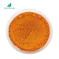 Free Sample Best Price Vitamin B2 Riboflavin CAS 83-88-5 Vitamin B2 Riboflavin Powder