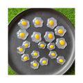 Cute Food Miniature Fried Eggs Flat Back Resin Cabochons for Hairpin Scrapbooking DIY Home Decor Accessories Slime Supplies