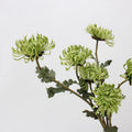 Y0008 Wholesale High Quality Artificial Real Touch PU Chrysanthemum Dahlia Flowers Wedding Home Party Decoration