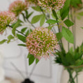 Plastic Flower 61cm 2 Heads Simulated Onion Ball Flower Superior Home Event Wedding Decoration Artificial Dandelion