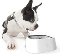 Factory Price Dog Bowl Eco-Friendly Plastic Water Spill-Proof & Splash-Free Design Pet Supplier's Choice