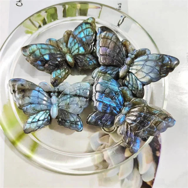 New Arrivals 2inch Carved Healing Crystals Crafts Natural Colorful Mixed Quartz Crystals butterfly for Gift