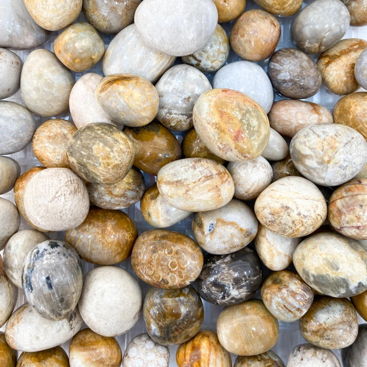 Bulk Natural Crystal Healing Stones Gravels Chakra Meditation Tools Coral Jasper Oval Tumbled Stone
