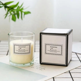 Wholesale 8oz Clear & Colorful Matte Black Glass Candle Jars with Plastic Lid for Cosmetics & Home Decor