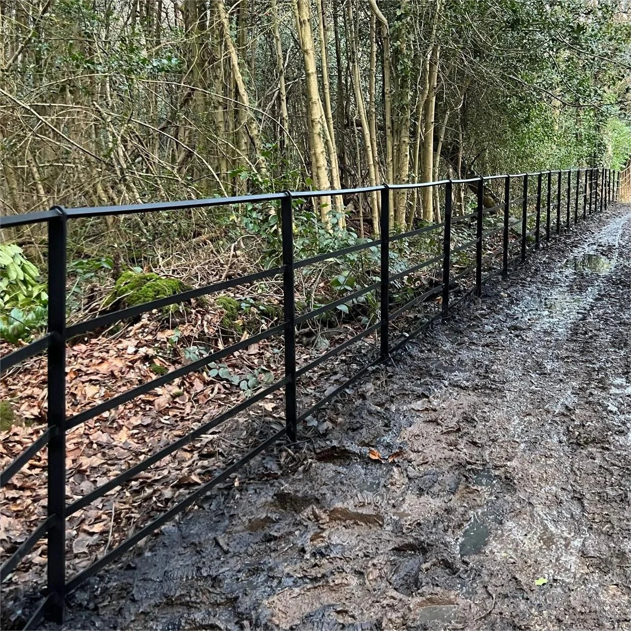 National Park Guardrail Fence Public Garden Railing Fence Estate Fencing Decorative Steel Handrail Irish England Palisade