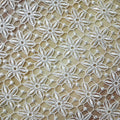 White Guipure Lace Fabric Water Soluble Dubai Dress Fabric