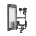 XF-21Y Totary Torso Machine with Pin Loaded