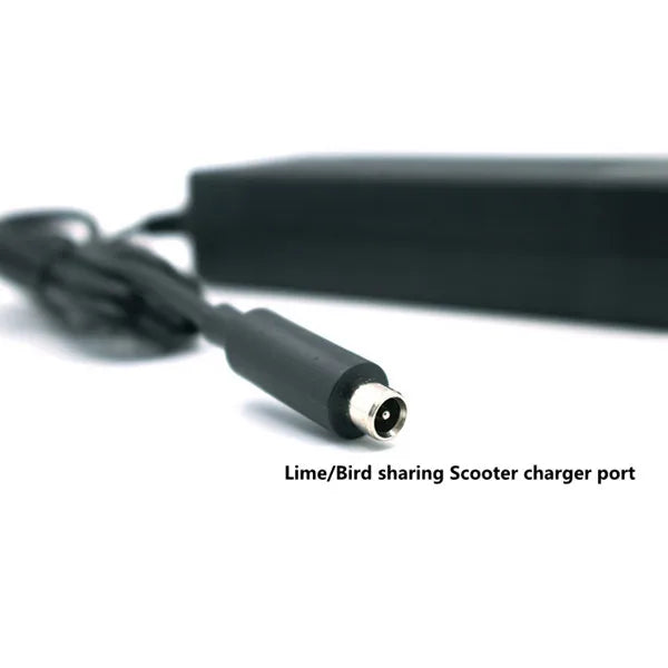 Battery Charger 42V 2A Charger for Elebjd Dollseelectric Toyster and Other Electric Vehicles Ric Vehicles 30A / 230V AC