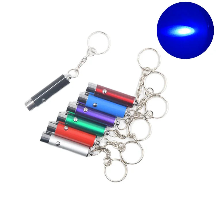 Mini Portable 15 Lumens Keychain Flashlight Led Light UV 365nm for Pet Identify Invisible Ink