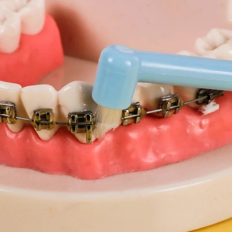 Orthodontic Interdental Brush Effective for Strong Gums and Teeth Oral Cleaning and Stain Eraser for Adults