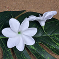 Flower Hair Pick Eva Foma Tiare Hair Accessories Women Hawaiian Party Graduation Artificial Flower
