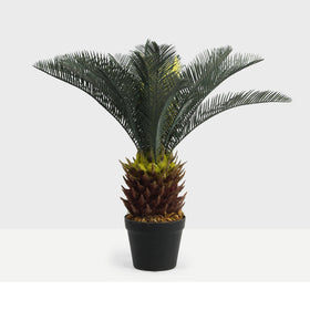 Cheap Price 60CM 2 Feet Tall Fake Tree Potted Artificial Bonsai Plants Sago Cycas Artificial Cycas Palm Tree With 21pcs Leaves