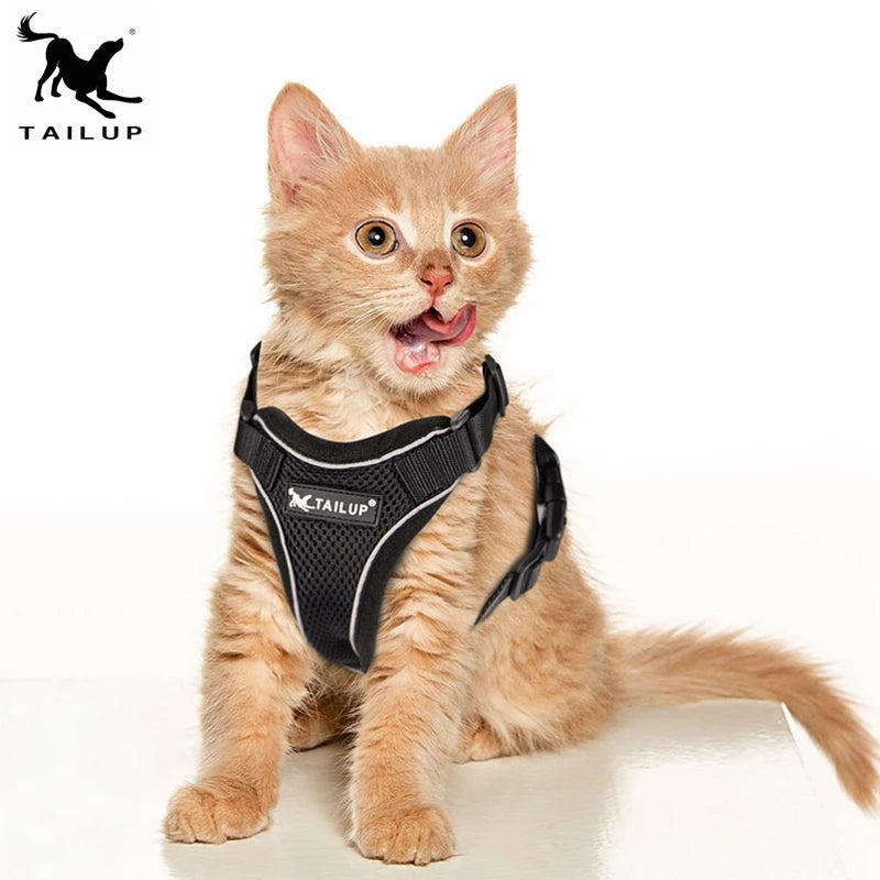2021 Fashionable Breathable Cat Harness Reflective Solid Pattern Escape Proof for Cat Walking