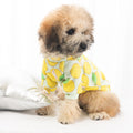 Popular Yellow Lemon Pet Clothing with Cute Striped Design Washable Pet Clothes for Cats and Dogs