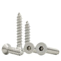 Factory Quick Customization SS304 SS316 Hexagon Socket Countersunk Head Tapping Screw Inner Hex Allen Flat Self-Tapping Bolt
