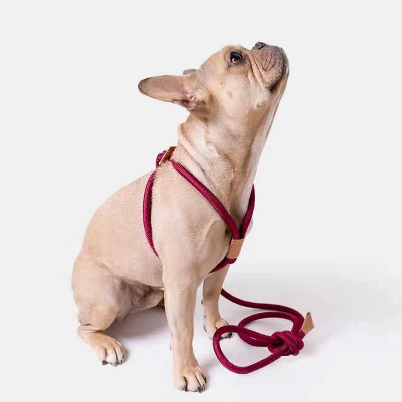 No Pull for Rolled Dog Traction Nylon Rope Leash Harness Set All in One for Walking