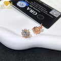 Luxury Jewelry 925 Silver Rose Gold Plated Stud Earrings Pass The Diamond Tester D VVS Moissanite  Earring  Women Men