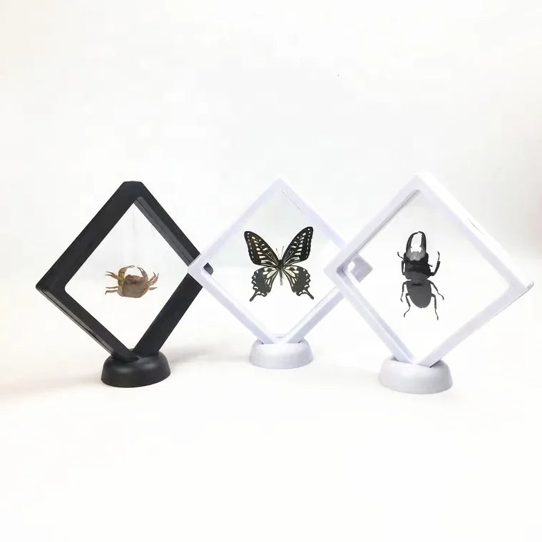 Transparent PE Film 3D Suspension Floating Entomological Butterflies Insects Specimens Display Frame Gift Shadow Box