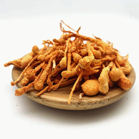 Goodex Prime Quality Cordyceps Mushroom Buyer and Dried Cordyceps Militaries