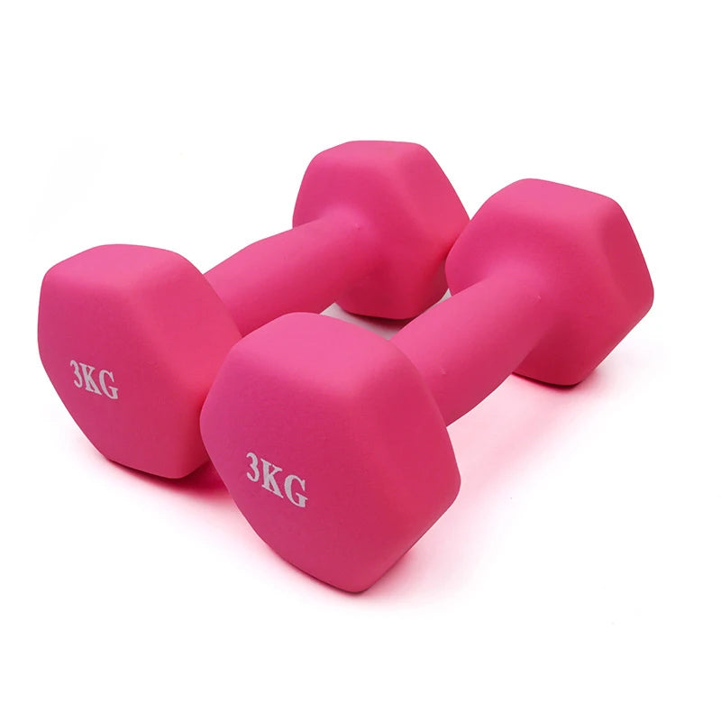 Ladies Home Fitness Equipment Durable Eco-friendly Non-Toxic Hex Dumbbell Set Slimming Made Cast Iron Polyvinyl Chloride Resin